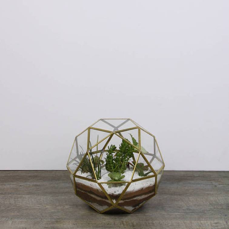 Terrarium succulentes/Etsy,Malaquita Design